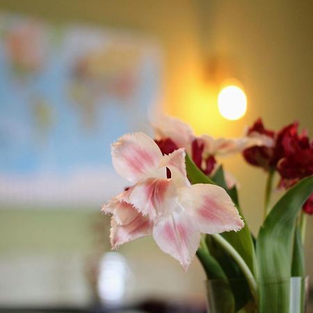 Bed And Breakfast De Grote Byvanck Westervoort エクステリア 写真